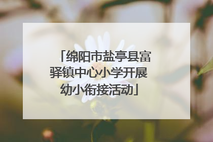 绵阳市盐亭县富驿镇中心小学开展幼小衔接活动