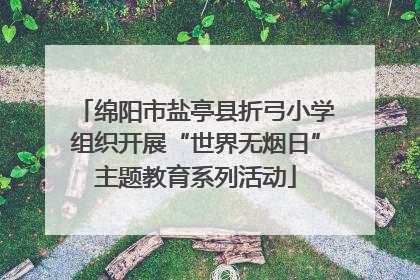 绵阳市盐亭县折弓小学组织开展“世界无烟日”主题教育系列活动