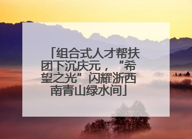 组合式人才帮扶团下沉庆元，“希望之光”闪耀浙西南青山绿水间