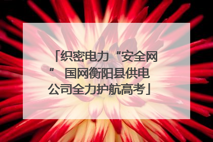 织密电力“安全网” 国网衡阳县供电公司全力护航高考