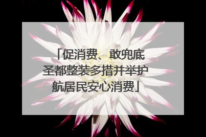 促消费、敢兜底 圣都整装多措并举护航居民安心消费