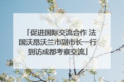 促进国际交流合作 法国沃昂沃兰市副市长一行到访成都考察交流
