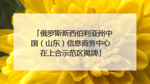 俄罗斯新西伯利亚州中国（山东）信息商务中心在上合示范区揭牌