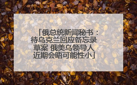 俄总统新闻秘书：待乌克兰回应备忘录草案 俄美乌领导人近期会晤可能性小