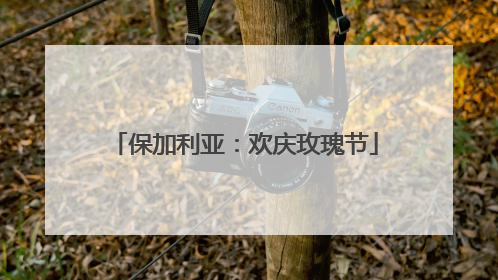 保加利亚：欢庆玫瑰节