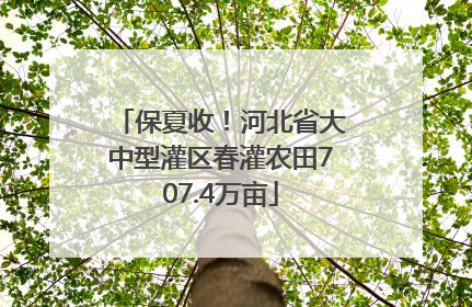 保夏收！河北省大中型灌区春灌农田707.4万亩