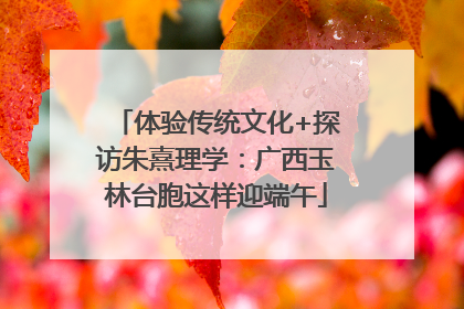 体验传统文化+探访朱熹理学：广西玉林台胞这样迎端午