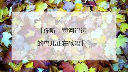 你听，黄河岸边的鸟儿正在歌唱