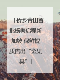 侨乡青田首批杨梅启程新加坡 保鲜提质售出“金果果”