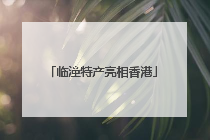 临潼特产亮相香港