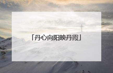 丹心向阳映丹霞