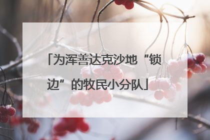 为浑善达克沙地“锁边”的牧民小分队