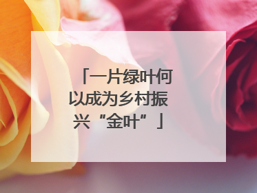 一片绿叶何以成为乡村振兴“金叶”