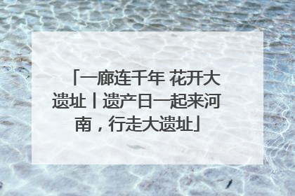 一廊连千年 花开大遗址丨遗产日一起来河南，行走大遗址