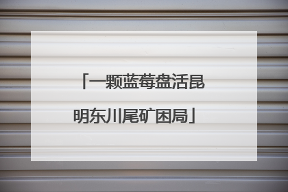 一颗蓝莓盘活昆明东川尾矿困局