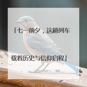 七一前夕，这趟列车载着历史与信仰启程