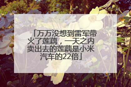 万万没想到雷军带火了莲藕，一天之内卖出去的莲藕是小米汽车的22倍