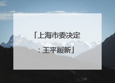 上海市委决定：王平履新