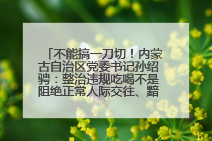 不能搞一刀切！内蒙古自治区党委书记孙绍骋：整治违规吃喝不是阻绝正常人际交往、黯淡人间烟火