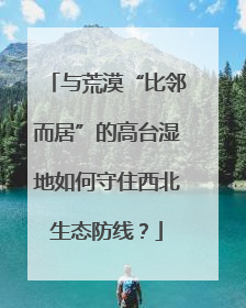 与荒漠“比邻而居”的高台湿地如何守住西北生态防线？