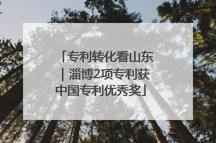 专利转化看山东｜淄博2项专利获中国专利优秀奖