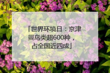 世界环境日：京津冀鸟类超600种，占全国近四成