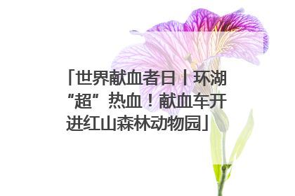 世界献血者日丨环湖“超”热血！献血车开进红山森林动物园