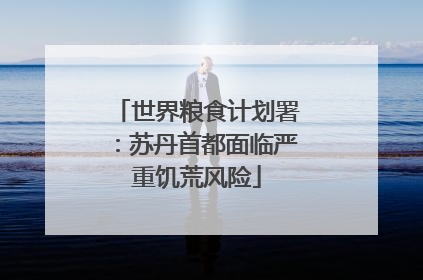 世界粮食计划署：苏丹首都面临严重饥荒风险