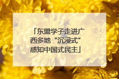 东盟学子走进广西多地“沉浸式”感知中国式民主