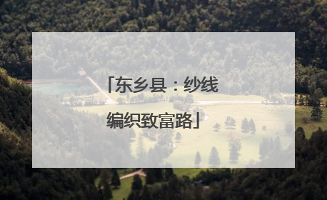 东乡县：纱线编织致富路