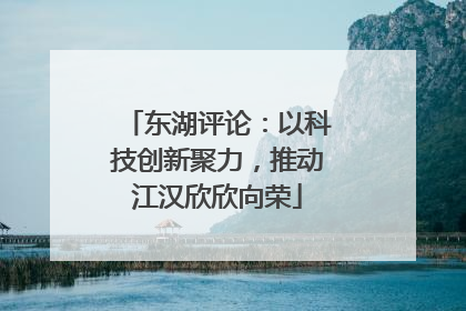 东湖评论：以科技创新聚力，推动江汉欣欣向荣