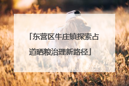东营区牛庄镇探索占道晒粮治理新路径