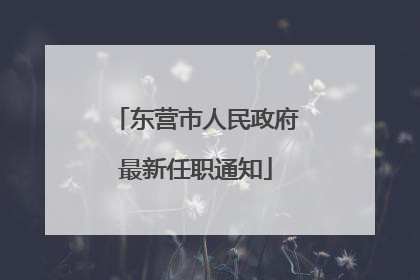 东营市人民政府最新任职通知