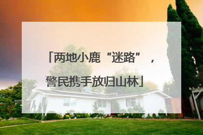 两地小鹿“迷路”，警民携手放归山林