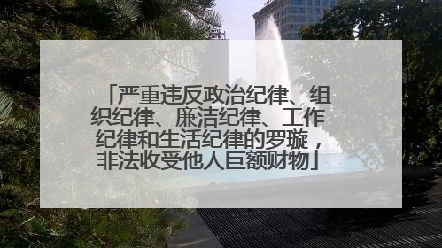 严重违反政治纪律、组织纪律、廉洁纪律、工作纪律和生活纪律的罗璇，非法收受他人巨额财物