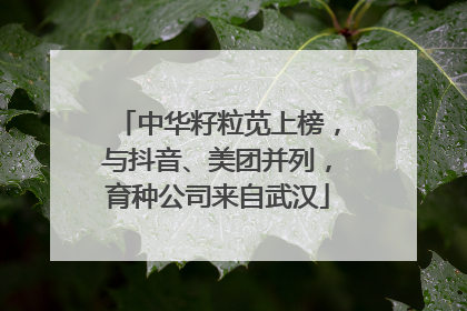 中华籽粒苋上榜，与抖音、美团并列，育种公司来自武汉