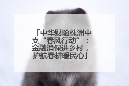 中华财险株洲中支“春风行动”：金融消保进乡村，护航春耕暖民心