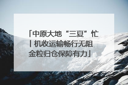 中原大地“三夏”忙丨机收运输畅行无阻 金粒归仓保障有力