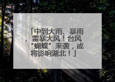 中到大雨、暴雨、雷暴大风！台风“蝴蝶”来袭，或将影响湖北！