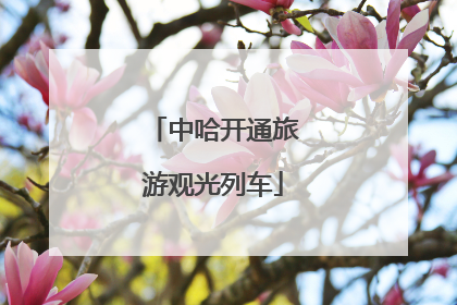 中哈开通旅游观光列车
