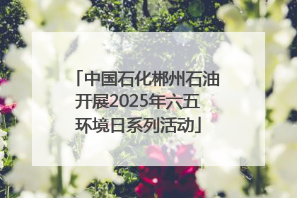 中国石化郴州石油开展2025年六五环境日系列活动
