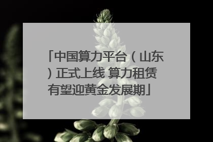中国算力平台（山东）正式上线 算力租赁有望迎黄金发展期
