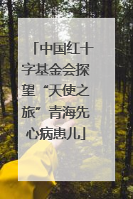中国红十字基金会探望“天使之旅”青海先心病患儿