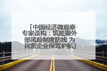 中国经济微观察·专家谈构：筑抵御外部风险制度防线 为民营企业保驾护航