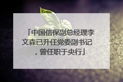 中国信保副总经理李文森已升任党委副书记，曾任职于央行
