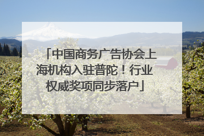 中国商务广告协会上海机构入驻普陀！行业权威奖项同步落户