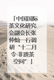 中国国际茶文化研究会副会长张仲灿一行调研“十二月令·非遗茶空间”