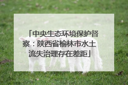 中央生态环境保护督察：陕西省榆林市水土流失治理存在差距