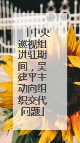 中央巡视组进驻期间，吴建平主动向组织交代问题