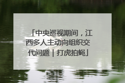 中央巡视期间，江西多人主动向组织交代问题｜打虎拍蝇